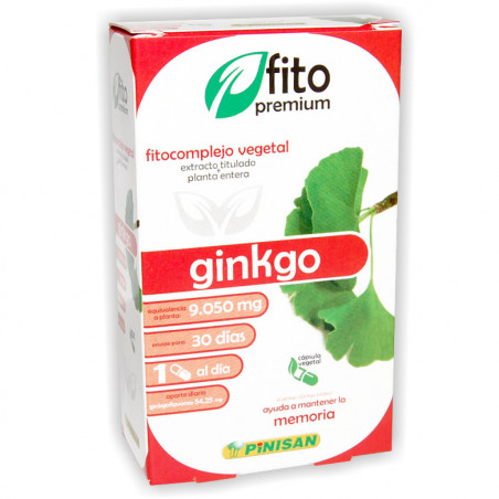 Fito ginkgo 30cap pinisan