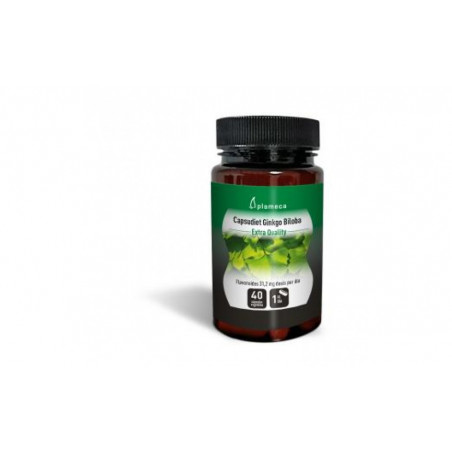 Ginkgo 40cap capsudiet plameca