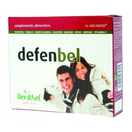 Defenbel 16amp herdibel