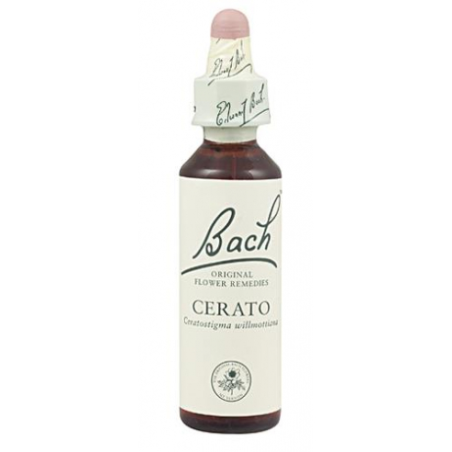 Bach n 5 cerato 20ml ceratostigma