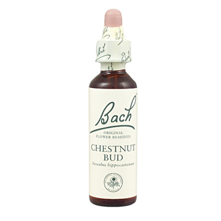 Bach n 7 chestnut bud 20ml brote de castaño indias