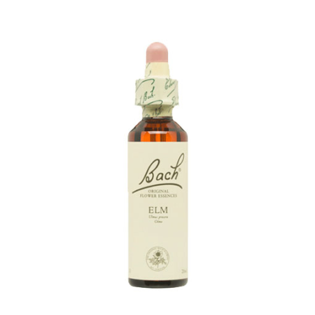 Bach n 11 elm 20ml olmo