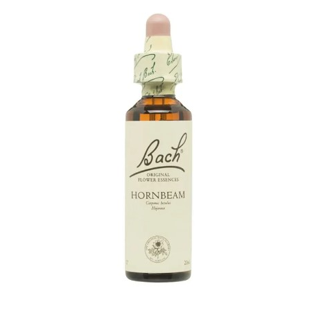 Bach n 17 hornbeam 20ml hojarazo