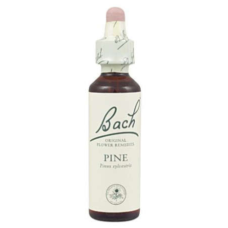 Bach n 24 pine 20ml  pino