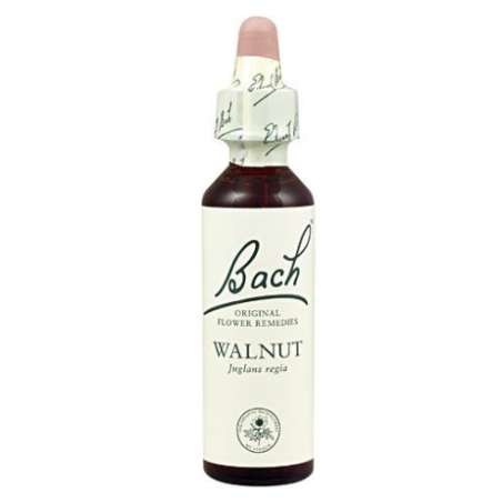 Bach n 33 walnut 20ml  nogal