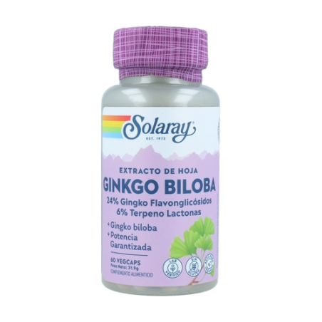 Ginkgo biloba 60caps solaray