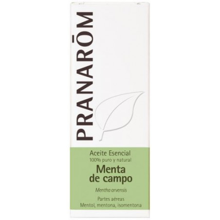 Esencia menta campo pranarom